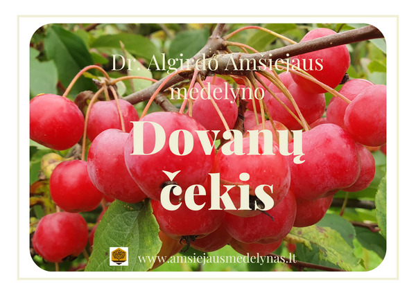 Dr. Algirdo Amšiejaus medelyno e-dovanų kortelė