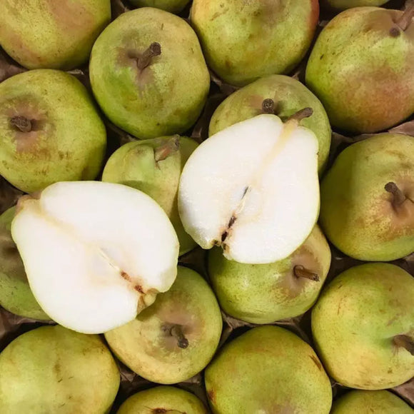 Kriaušė Komisinė (Comice)