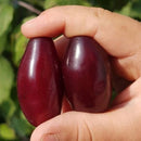 Geltonžiedė Sedula Starokijevskyj-2