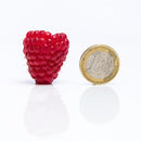 Vasarinė avietė Glen Moore (5 vnt. +1 dovanų)-2