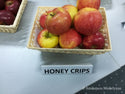 Žieminė obelis Honey Crisp (vazone)