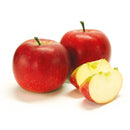 Žieminė obelis Red Boskoop (vazone)-3