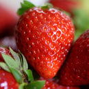 Braškė Honeyoe (10 vnt. braškių daigų)-1