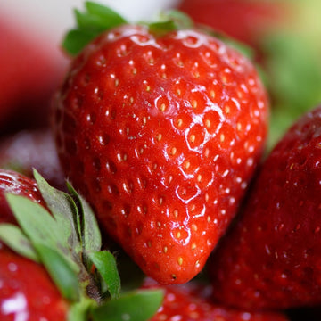 Braškė Honeyoe (10 vnt. braškių daigų)