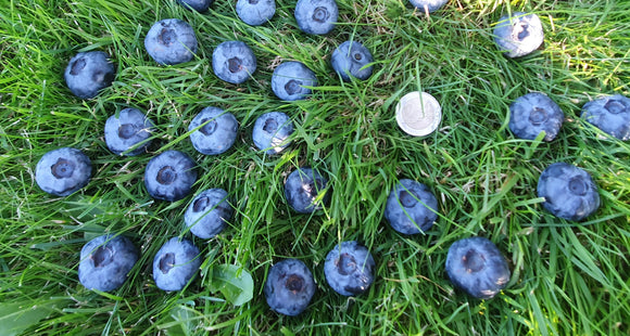 Šilauogė Chandler Background